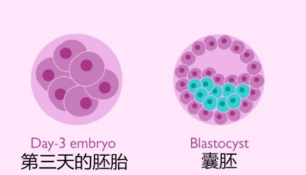 育儿知识0到1岁喂养