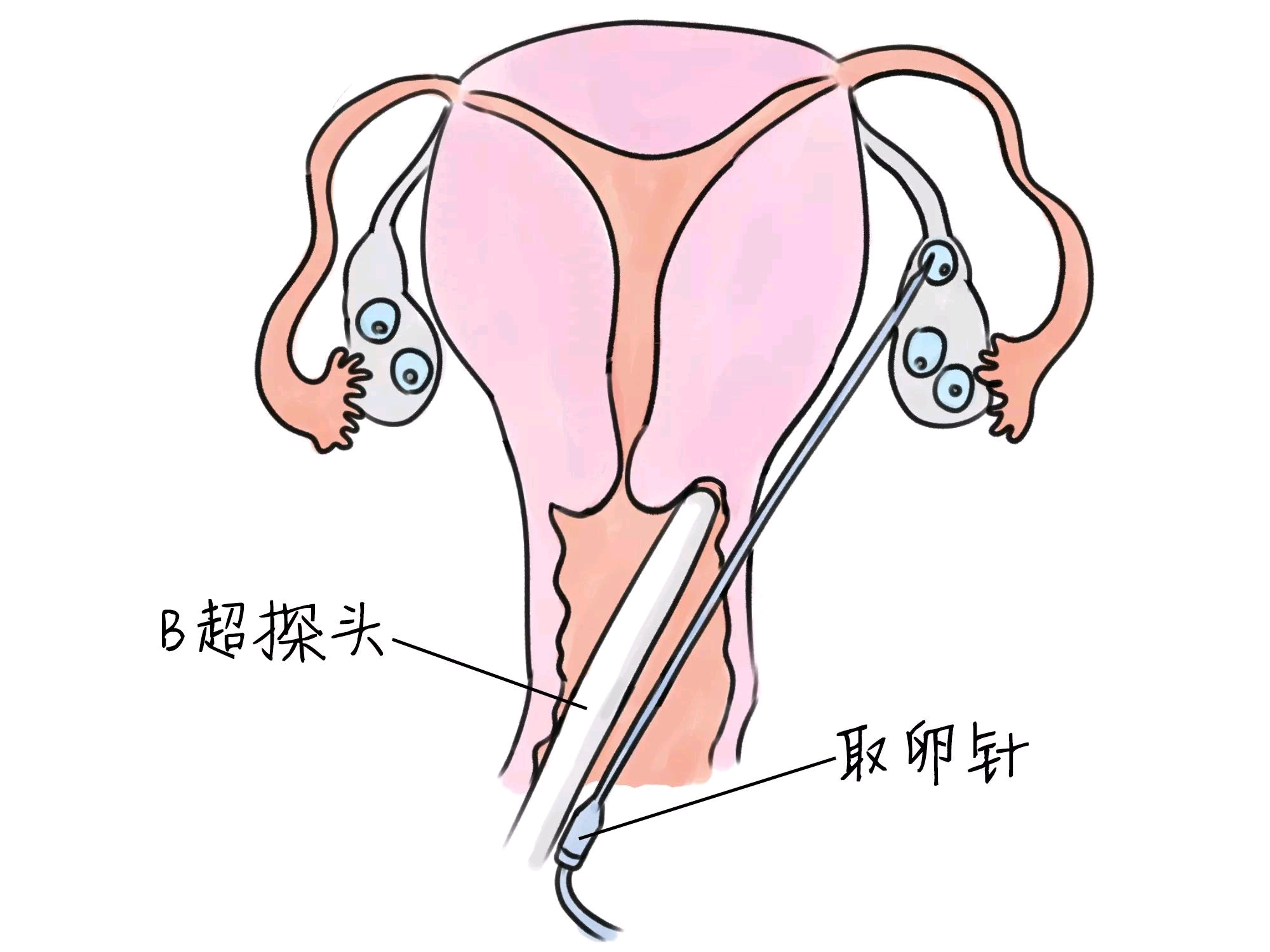 育儿摘抄大全集