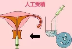 育儿教育