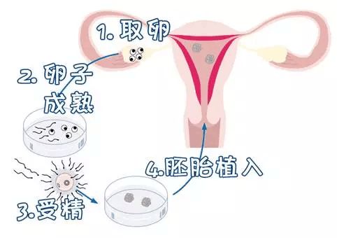 育儿教育