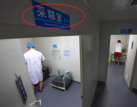 育儿教育