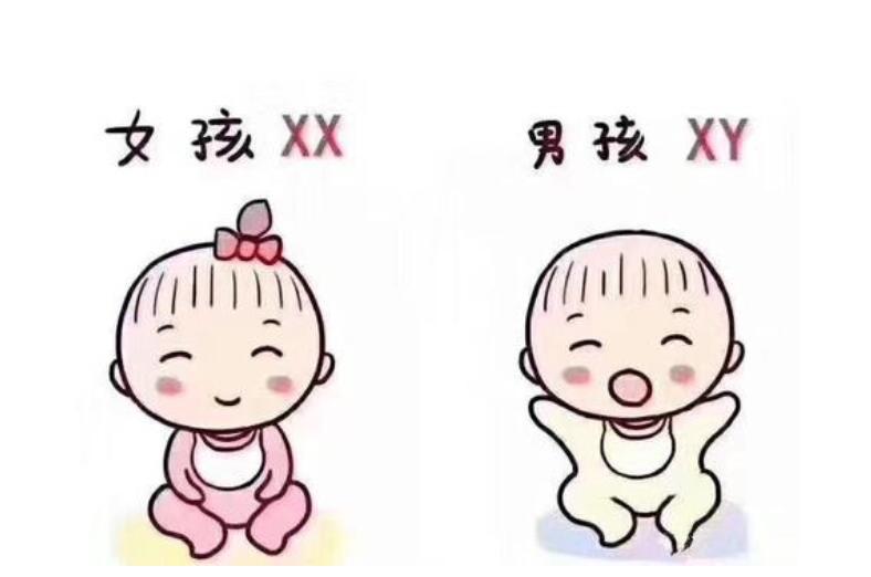 育儿教育