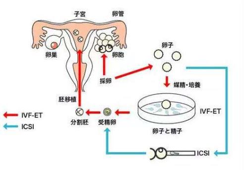 育儿心得经典短文幼儿园升小学