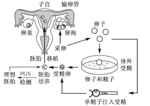 育儿教育