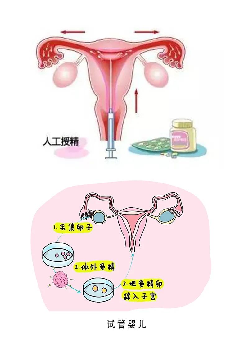 育儿知识