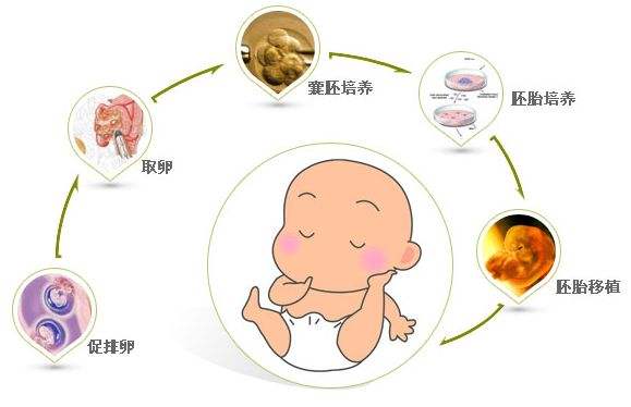 育儿心灵鸡汤经典语录
