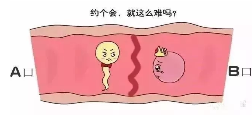 育儿教育