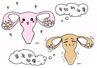 育儿教育