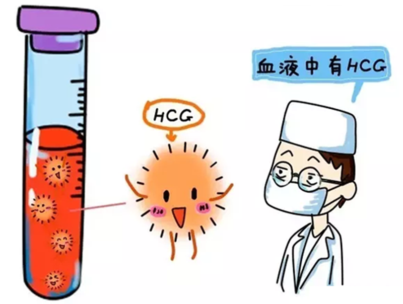 中班秋季