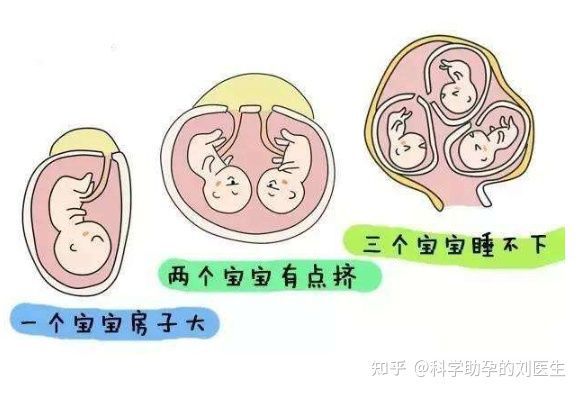 育儿知识