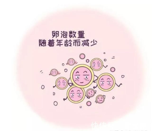 胎位横位