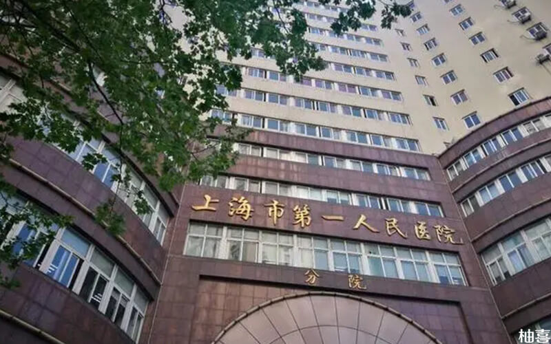 胎停