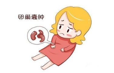 胎儿发育