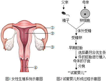 胎位不正