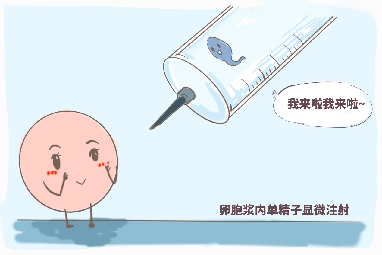 胎位不正