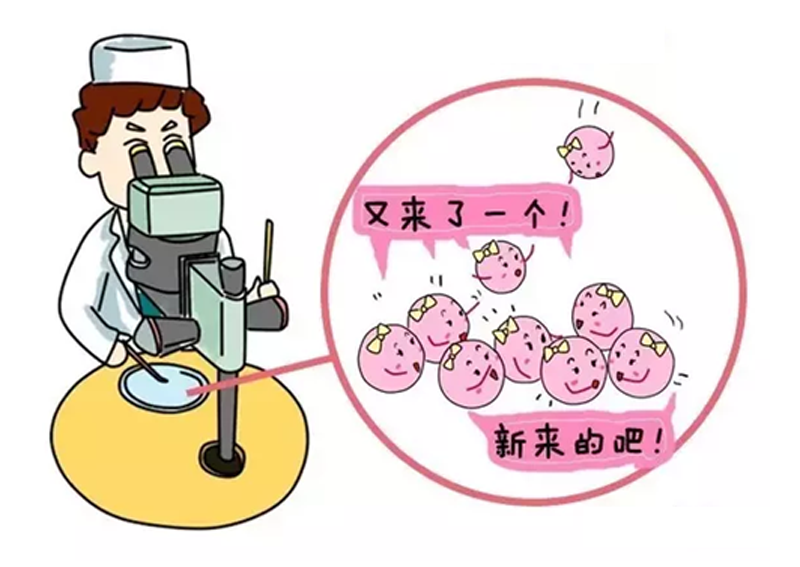 胎停育