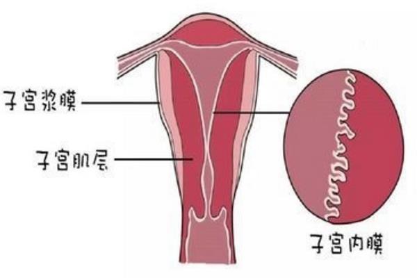 胎位不正