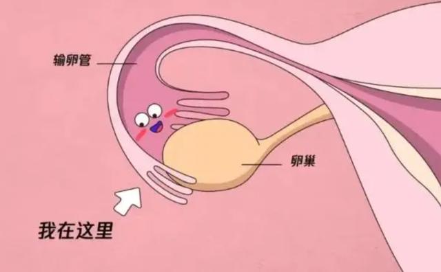 青岛试管婴儿